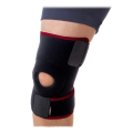 ligamax-knee-900.png