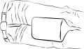 PP-12.png