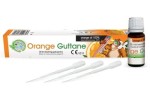 ORANGE GUTTANE Olejek do rozpuszczania gutaperki 
