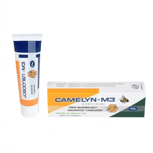 M3-camelyn-1.webp