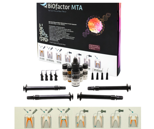 Biofactor-MTA-Mineral-Trioxide-Aggregate-Material-do-wypelniania-i-naprawy-kanalow-korzeniowycj.png